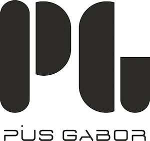 PIUS GABOR PIUS GABOR - der bequeme Herrenschuh